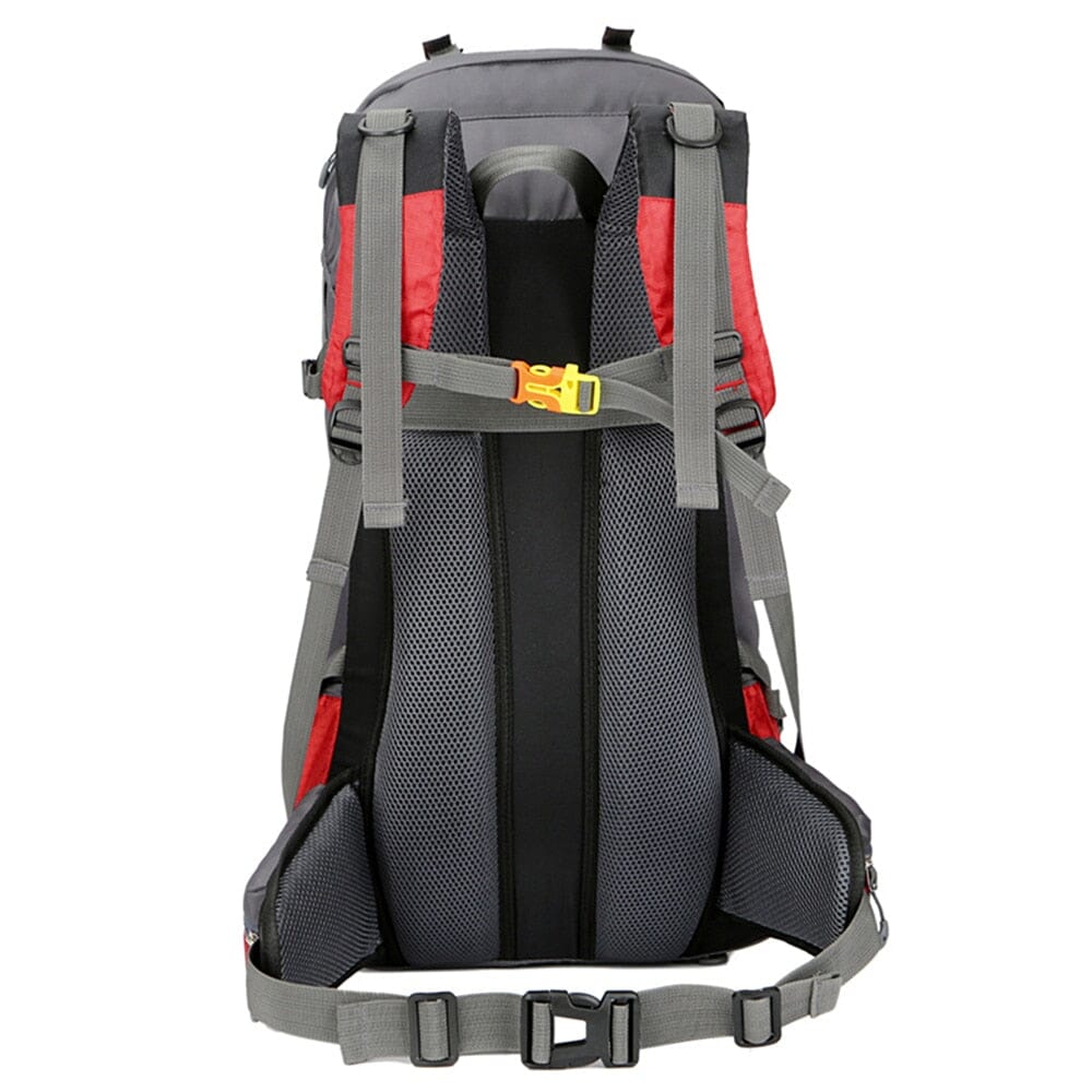 Mochila Kane Montevie 60L Mochila Kane Montevie® 60L Montevie